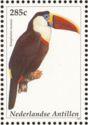 White-throated Toucan (Ramphastos tucanus)